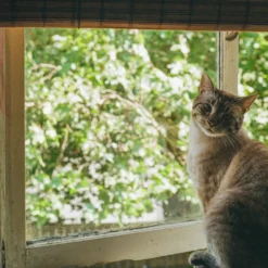 35mm Colour Camera Film Bundle (Set Of 5) 14 35mm Colour Camera Film Bundle (Set Of 5) -Camera Promotion Store 35mm colour camera film bundle set of 5 5 scaled