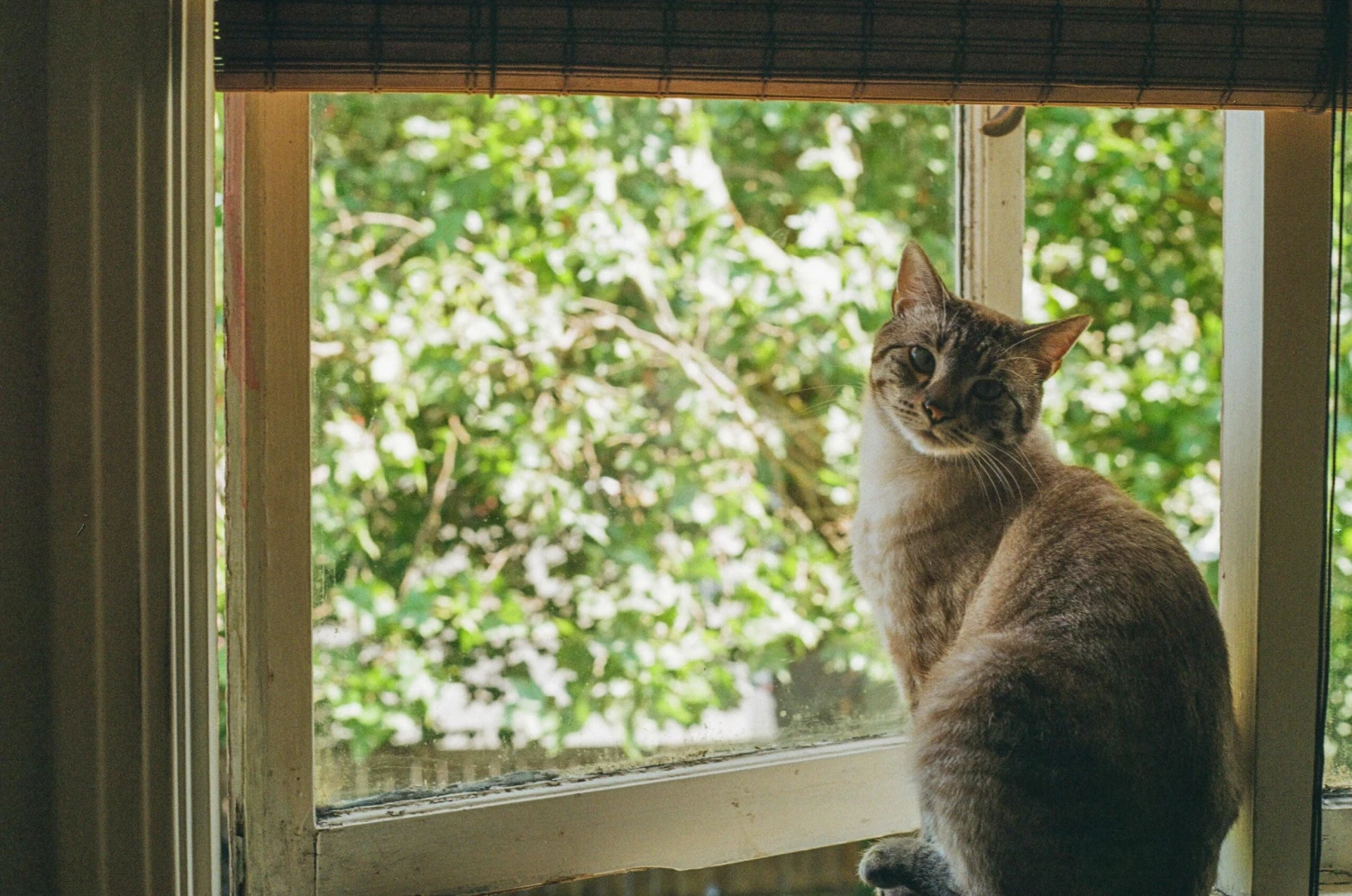 35mm Colour Camera Film Bundle (Set Of 5) 7 35mm Colour Camera Film Bundle (Set Of 5) - Image 5