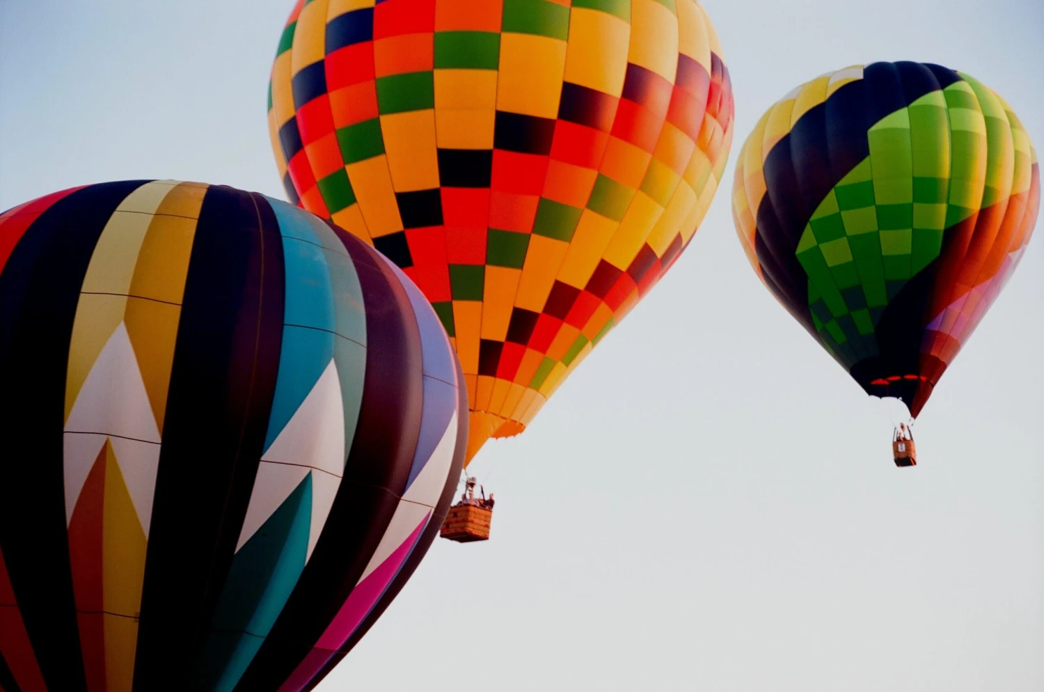 35mm Colour Camera Film Bundle (Set Of 5) 9 35mm Colour Camera Film Bundle (Set Of 5) - Image 7