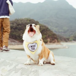 35mm Film Camera Reusable Starter Pack With Flash And 2 X 35mm Film - Pink Vibe -Camera Promotion Store 35mm film camera reusable starter pack with flash and 2 x 35mm film pink vibe 11