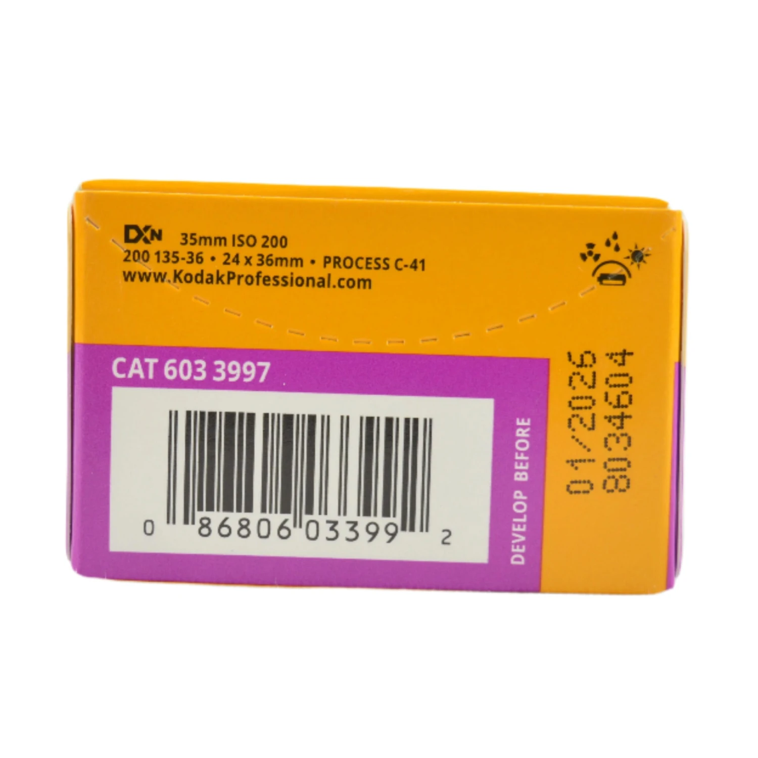 Kodak Gold 200 24 Exposure Colour Film 6 Kodak Gold 200 24 Exposure Colour Film - Image 4