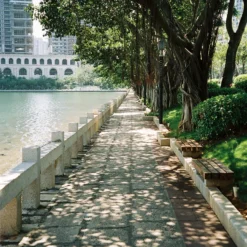 BRAND NEW - Minolta Riva Zoom 125 35mm Film Camera Point And Shoot 24 BRAND NEW - Minolta Riva Zoom 125 35mm Film Camera Point And Shoot -Camera Promotion Store brand new minolta riva zoom 125 35mm film camera point and shoot 10