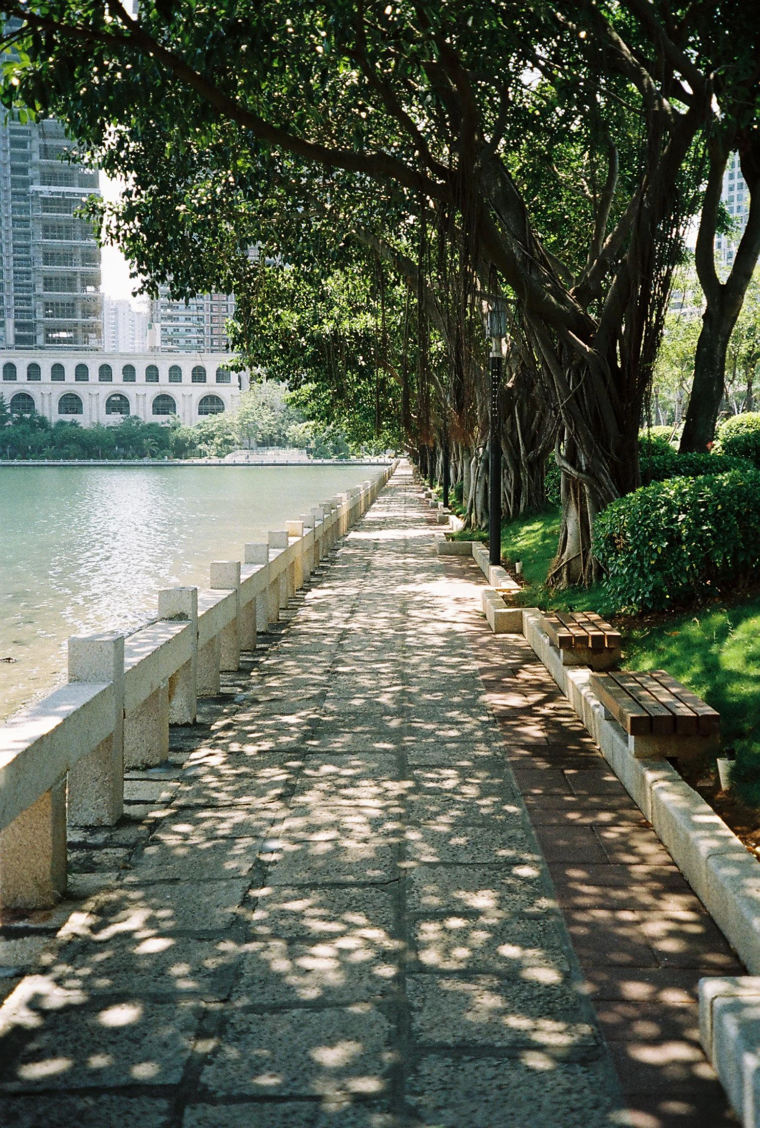 BRAND NEW - Minolta Riva Zoom 125 35mm Film Camera Point And Shoot 12 BRAND NEW - Minolta Riva Zoom 125 35mm Film Camera Point And Shoot - Image 10