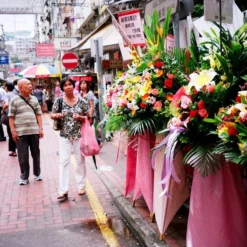 Minolta Riva Zoom 130 35mm Film Camera Point And Shoot 23 Minolta Riva Zoom 130 35mm Film Camera Point And Shoot -Camera Promotion Store brand new minolta riva zoom 130 35mm film camera point and shoot 8