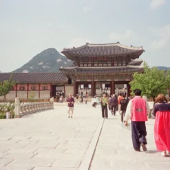 BRAND NEW - Minolta Riva Zoom 140 35mm Film Camera Point And Shoot -Camera Promotion Store brand new minolta riva zoom 140 35mm film camera point and shoot 18