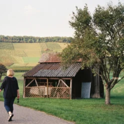 BRAND NEW - Minolta Riva Zoom 140 35mm Film Camera Point And Shoot -Camera Promotion Store brand new minolta riva zoom 140 35mm film camera point and shoot 9