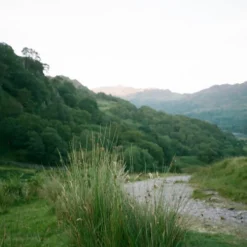 BRAND NEW - Minolta Riva Zoom 160 35mm Film Camera Point And Shoot -Camera Promotion Store brand new minolta riva zoom 160 35mm film camera point and shoot 12