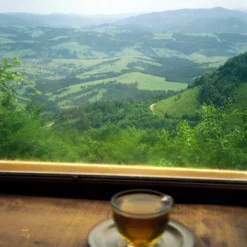 BRAND NEW - Olympus Mju III Zoom 120 35mm Film Camera Point And Shoot -Camera Promotion Store brand new olympus mju iii zoom 120 35mm film camera point and shoot 14