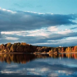 BRAND NEW - Olympus OM40 Program Black 35mm SLR Film Camera With Olympus Prime Lens -Camera Promotion Store brand new olympus om40 program black 35mm slr film camera with olympus prime lens 14