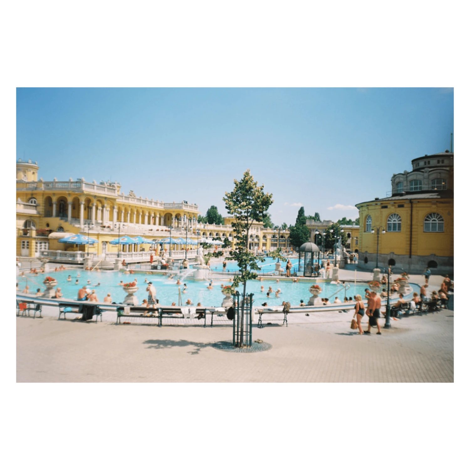 BRAND NEW - Olympus Shoot & Go R 35mm Film Camera Point And Shoot 11 BRAND NEW - Olympus Shoot & Go R 35mm Film Camera Point And Shoot - Image 9