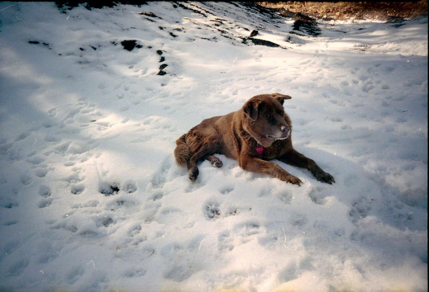 BRAND NEW - Olympus Trip 600 35mm Film Camera Point And Shoot 11 BRAND NEW - Olympus Trip 600 35mm Film Camera Point And Shoot - Image 9