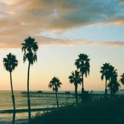 Canon® Canon AE-1 Program 35mm SLR Film Camera With Canon Prime Lens -Camera Promotion Store canon ae 1 program 35mm slr film camera with canon prime lens 13