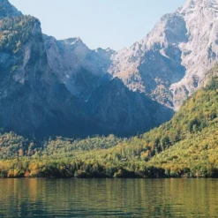 Canon® Canon AE-1 Program BLACK 35mm SLR Film Camera With Canon Prime Lens -Camera Promotion Store canon ae 1 program black 35mm slr film camera with canon prime lens 10