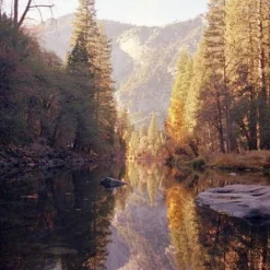 Canon® Canon AE-1 Program BLACK 35mm SLR Film Camera With Canon Prime Lens -Camera Promotion Store canon ae 1 program black 35mm slr film camera with canon prime lens 12