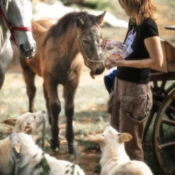 Canon® Canon EOS 300 35mm SLR Film Camera - Body Only -Camera Promotion Store canon eos 300 35mm slr film camera body only 16