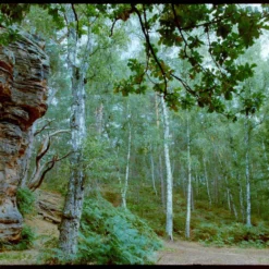 Canon® Canon EOS 5 35mm SLR Film Camera - Body Only -Camera Promotion Store canon eos 5 35mm slr film camera body only 10