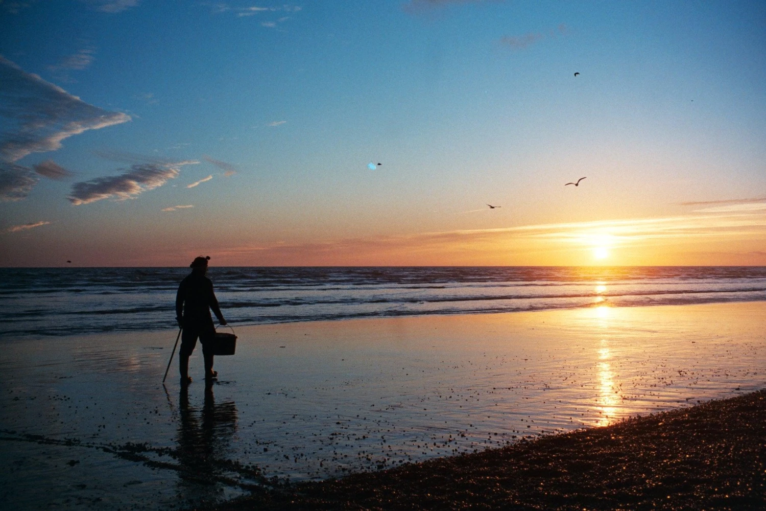 Canon Prima Super 135 BRAND NEW 35mm Film Camera Point And Shoot 4 Canon Prima Super 135 BRAND NEW 35mm Film Camera Point And Shoot - Image 2