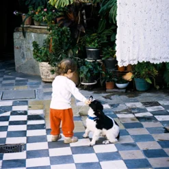 Canon® Canon Prima Zoom Mini Brand New 35mm Film Camera Point And Shoot 26 Canon® Canon Prima Zoom Mini Brand New 35mm Film Camera Point And Shoot -Camera Promotion Store canon prima zoom mini brand new 35mm film camera point and shoot 12