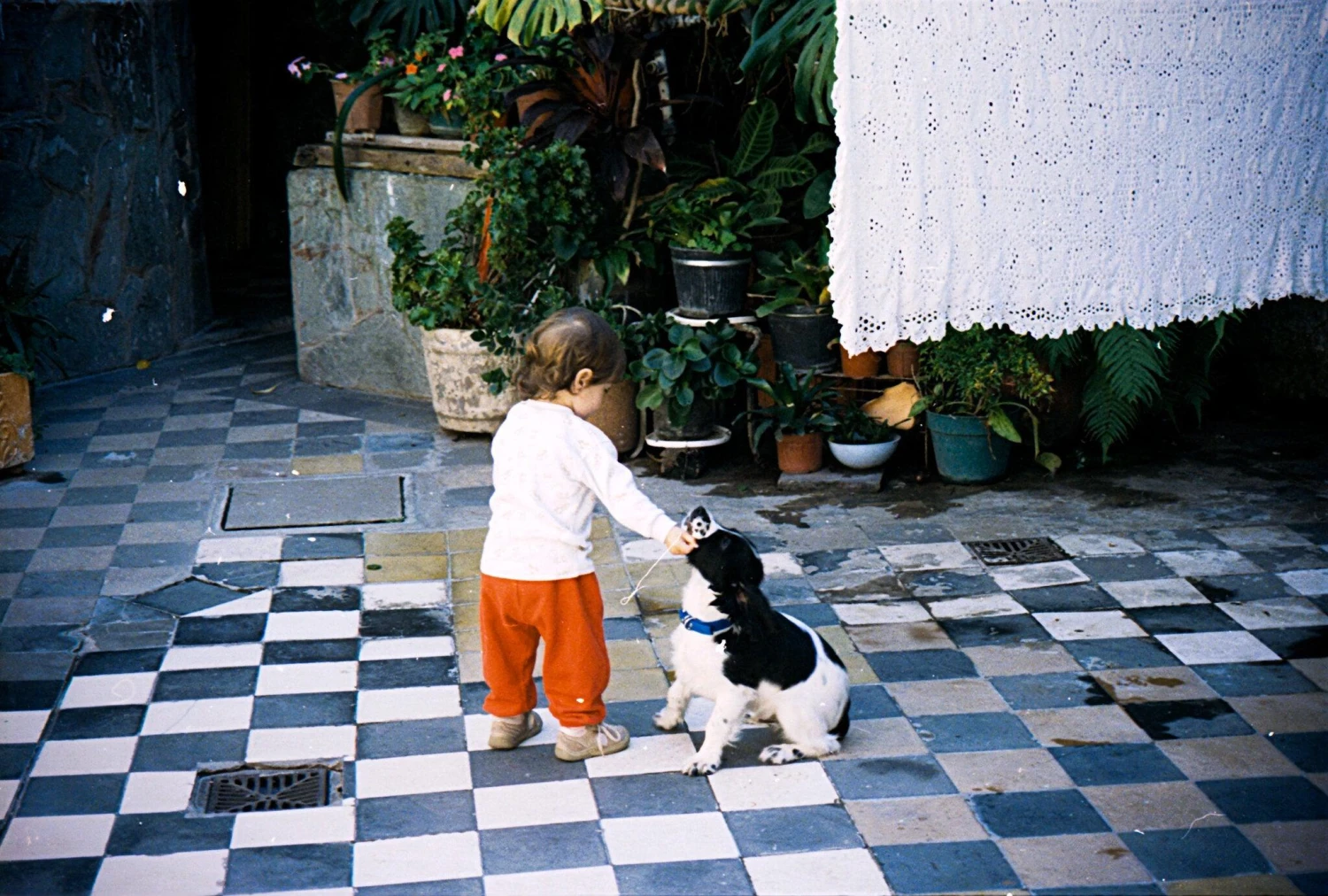 Canon® Canon Prima Zoom Mini Brand New 35mm Film Camera Point And Shoot 14 Canon® Canon Prima Zoom Mini Brand New 35mm Film Camera Point And Shoot - Image 12