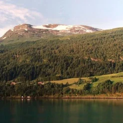 Canon® Canon Snappy LX 35mm Film Camera Point And Shoot -Camera Promotion Store canon snappy lx 35mm film camera point and shoot 14