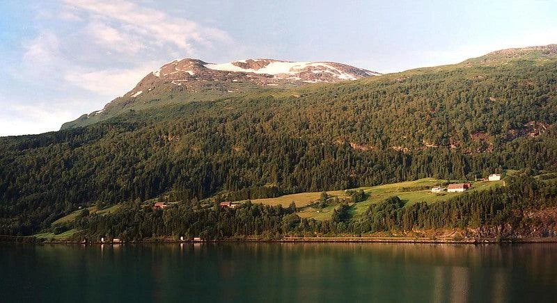 Canon® Canon Sure Shot AF-7s / Owl / BF Silver 35mm Film Camera Point And Shoot 13 Canon® Canon Sure Shot AF-7s / Owl / BF Silver 35mm Film Camera Point And Shoot - Image 11