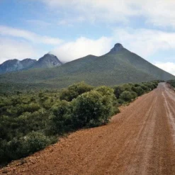 Canon® Canon Sure Shot AF35M II 35mm Film Camera Point And Shoot -Camera Promotion Store canon sure shot af35m ii 35mm film camera point and shoot 10