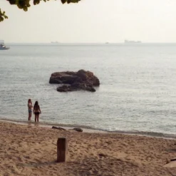 Canon® Canon Sure Shot Max 35mm Film Camera Point And Shoot -Camera Promotion Store canon sure shot max 35mm film camera point and shoot 14