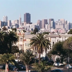 Canon® Canon Sure Shot Sleek 35mm Film Camera Point And Shoot 19 Canon® Canon Sure Shot Sleek 35mm Film Camera Point And Shoot -Camera Promotion Store canon sure shot sleek 35mm film camera point and shoot 9