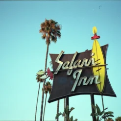 Canon® Canon Sure Shot Supreme 35mm Film Camera Point And Shoot With Black Leather Canon Case And ORIGNAL BOX -Camera Promotion Store canon sure shot supreme 35mm film camera point and shoot with black leather canon case and orignal box 18