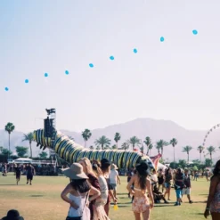 Canon® Canon Sure Shot Supreme 35mm Film Camera Point And Shoot -Camera Promotion Store canon sure shot supreme 35mm film camera point and shoot with free black leather canon case 19