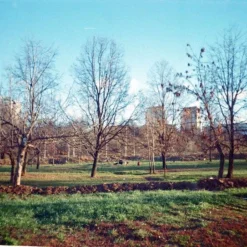 Canon® Canon Sure Shot TeleMax 35mm Film Camera Point And Shoot 20 Canon® Canon Sure Shot TeleMax 35mm Film Camera Point And Shoot -Camera Promotion Store canon sure shot telemax 35mm film camera point and shoot 9