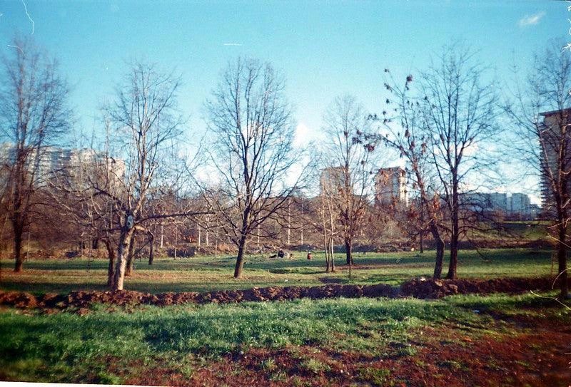 Canon® Canon Sure Shot TeleMax 35mm Film Camera Point And Shoot 11 Canon® Canon Sure Shot TeleMax 35mm Film Camera Point And Shoot - Image 9