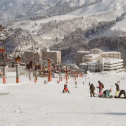 Canon® Canon Sure Shot Z70W / Prima Super 28 35mm Film Camera Point And Shoot -Camera Promotion Store canon sure shot z70w prima super 28 35mm film camera point and shoot 12