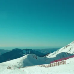 Canon® Canon T70 35mm Film Camera With 50mm Lens 20 Canon® Canon T70 35mm Film Camera With 50mm Lens -Camera Promotion Store canon t70 35mm film camera with 50mm lens 9