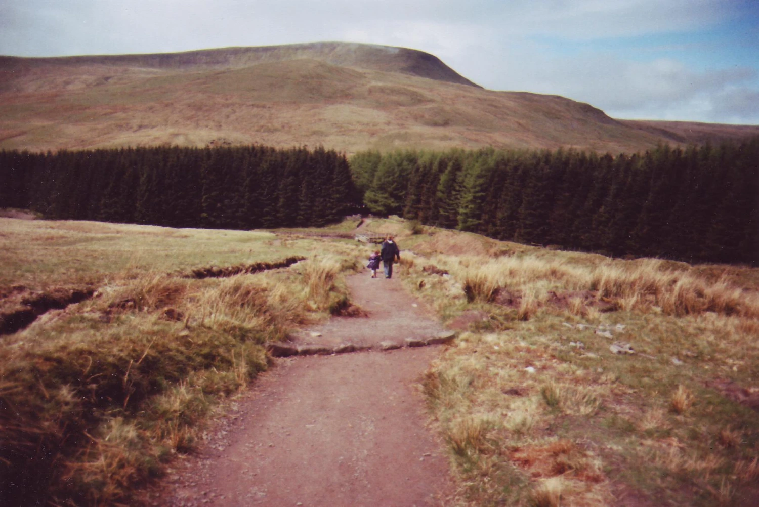 Chinon CE-5 Vintage SLR 35mm Film Camera With 50mm Prime Lens 10 Chinon CE-5 Vintage SLR 35mm Film Camera With 50mm Prime Lens - Image 8