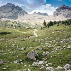 Contax T3 Titan Silver 35mm Film Camera Point & Shoot With 35mm F/2.8 Lens -Camera Promotion Store contax t3 titan silver 35mm film camera point and shoot with 35mm f2 8 lens 11