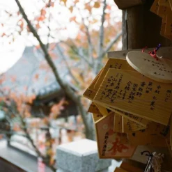 Contax T3 Titan Silver 35mm Film Camera Point & Shoot With 35mm F/2.8 Lens -Camera Promotion Store contax t3 titan silver 35mm film camera point and shoot with 35mm f2 8 lens 17