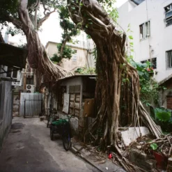 (Expired 2021) FujiFilm Superia X-Tra 400 36 Exposure 35mm Colour Film. -Camera Promotion Store expired 2021 fujifilm superia x tra 400 36 exposure 35mm colour film 12