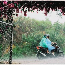 Flic Film Elektra 35mm Colour Film Bundle (Set Of 3) -Camera Promotion Store flic film elektra 35mm colour film bundle set of 3 8