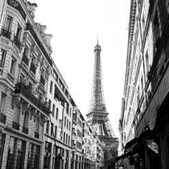 Fomapan 400 Action 36 EXP 135 35mm B&W Film 16 Fomapan 400 Action 36 EXP 135 35mm B&W Film -Camera Promotion Store fomapan 400 action 36 exp 135 35mm bandw film 5 scaled