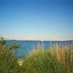 FUJI DL-190 Zoom 35mm Film Camera Point And Shoot -Camera Promotion Store fuji dl 190 zoom 35mm film camera point and shoot 7