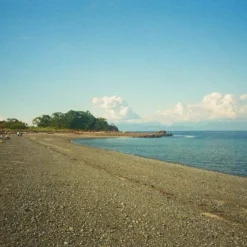 FUJI DL-190 Zoom 35mm Film Camera Point And Shoot -Camera Promotion Store fuji dl 190 zoom 35mm film camera point and shoot 8