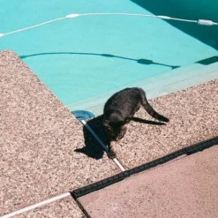 Fujica ST605 35mm SLR Film Camera W/ Prime Lens -Camera Promotion Store fujica st605 35mm slr film camera w prime lens 11