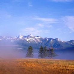 FujiFilm FujiChrome Professional Velvia 50 36 EXP 35mm Colour Film -Camera Promotion Store fujichrome professional velvia 50 36 exp 35mm colour film 10