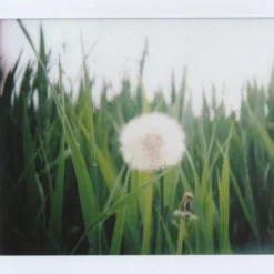 FujiFilm Instax Mini Colour Film 20 Shots. -Camera Promotion Store fujifilm instax mini colour film 20 shots 9