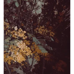 FujiFilm QuickSnap 35mm Disposable Colour Film Camera. -Camera Promotion Store fujifilm quicksnap 35mm disposable colour film camera 10 scaled