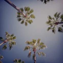 FujiFilm QuickSnap 35mm Disposable Colour Film Camera. -Camera Promotion Store fujifilm quicksnap 35mm disposable colour film camera 11