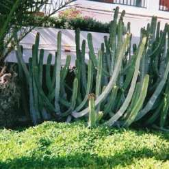 Camera Promotion Store -Camera Promotion Store fujifilm quicksnap 35mm disposable colour film camera 2