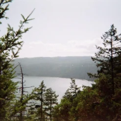 FujiFilm QuickSnap 35mm Disposable Colour Film Camera. -Camera Promotion Store fujifilm quicksnap 35mm disposable colour film camera 7