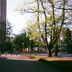 FujiFilm QuickSnap 35mm Disposable Colour Film Camera. -Camera Promotion Store fujifilm quicksnap 35mm disposable colour film camera 8